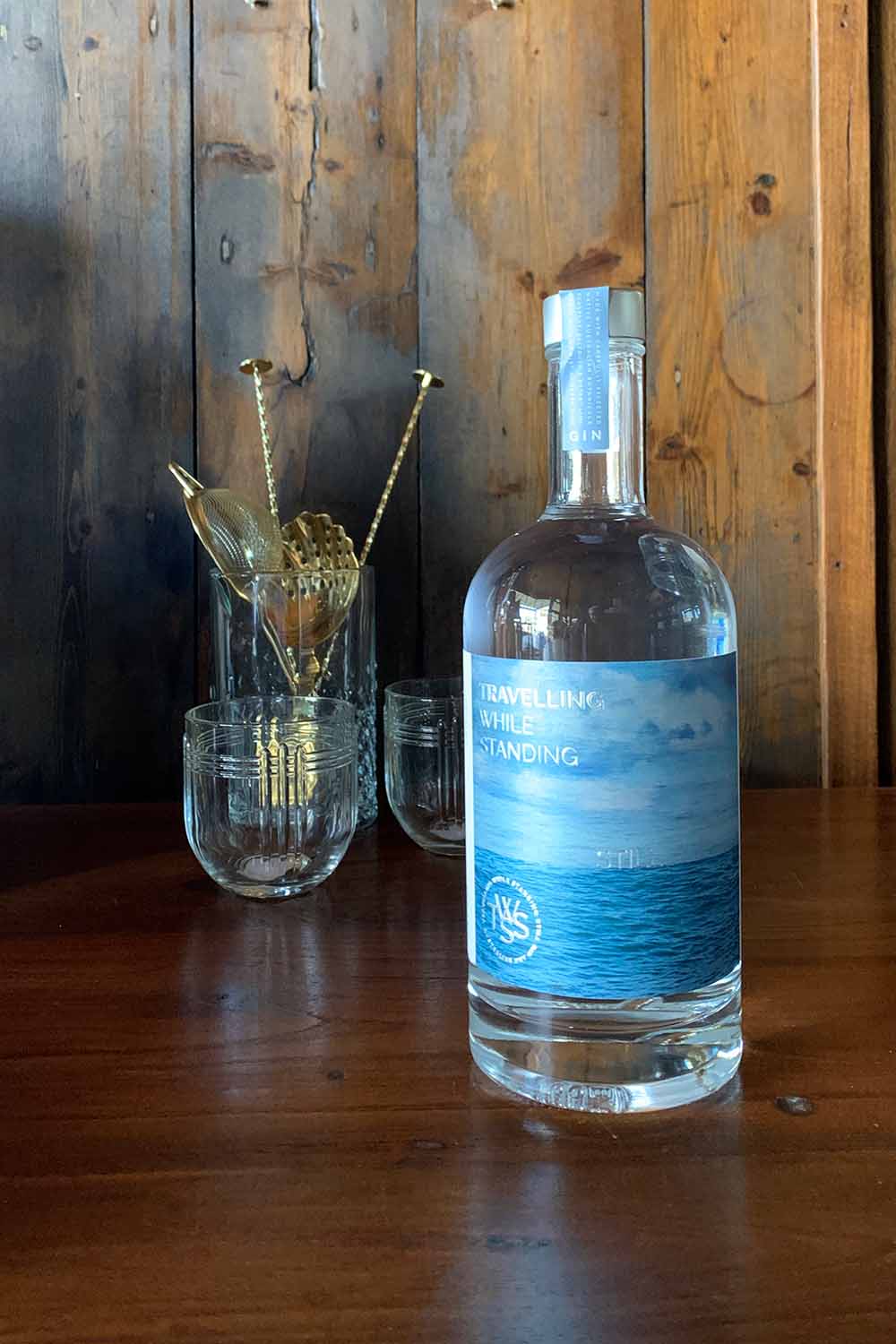 Travelling While Standing Still Gin Botanik Bar